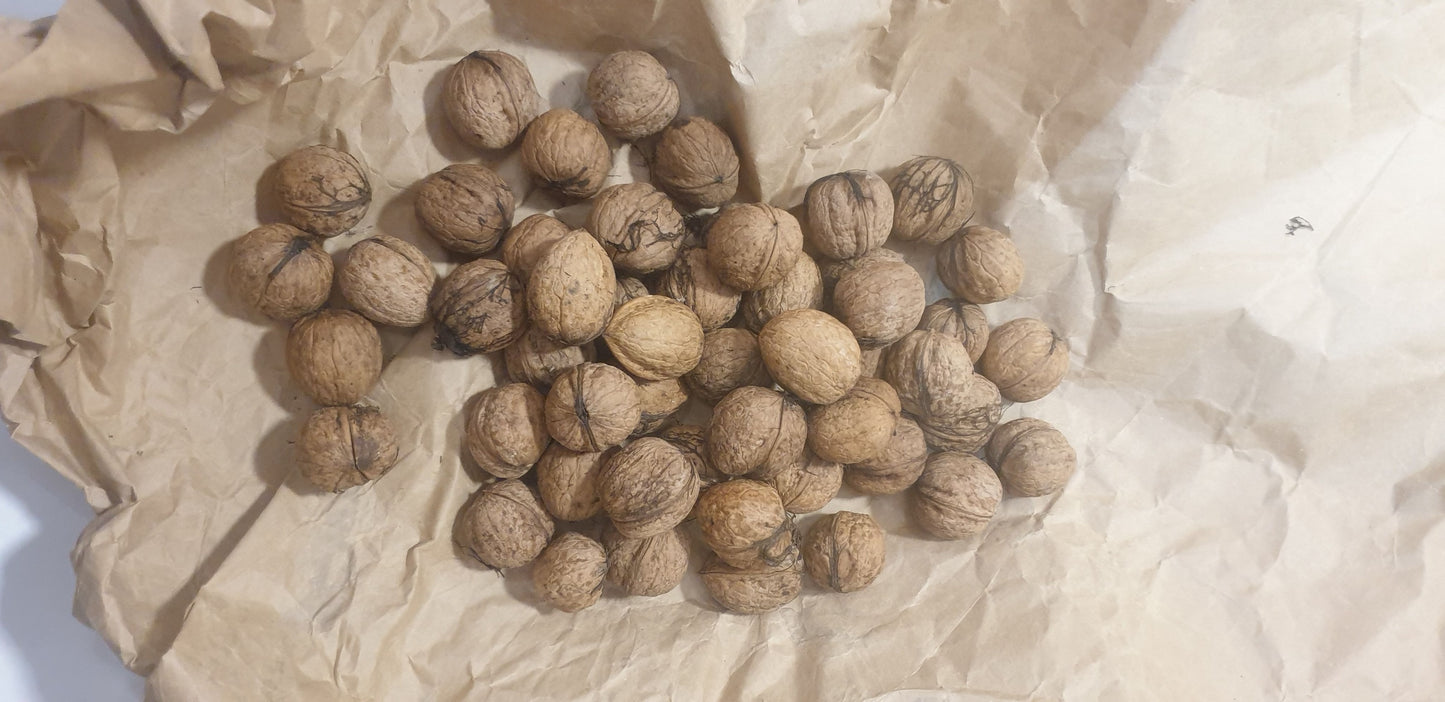 Nueces Casa Amézqueta
